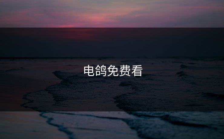 电鸽免费看